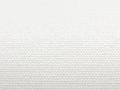 フォトアート・プロキャンバス　ラスター