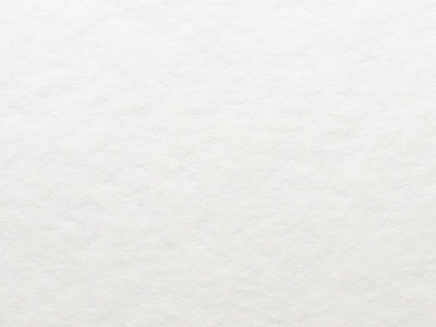 DEEP PVD1 パルパー ホワイト